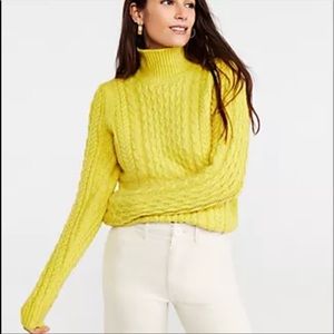 ANN TAYLOR sweater